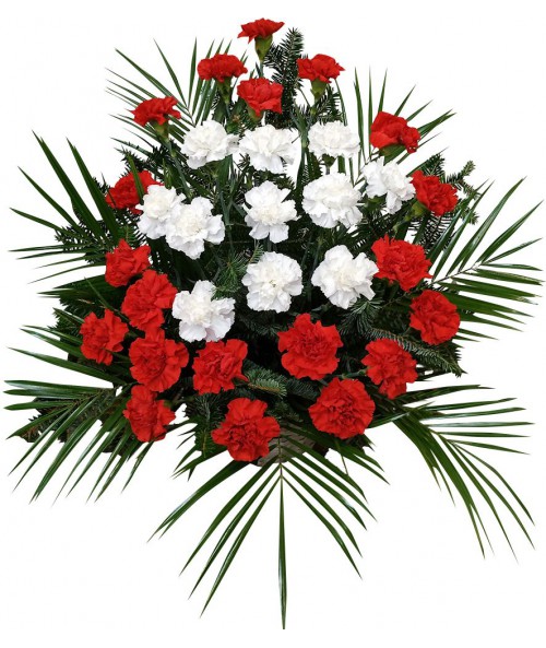 White and red carnations