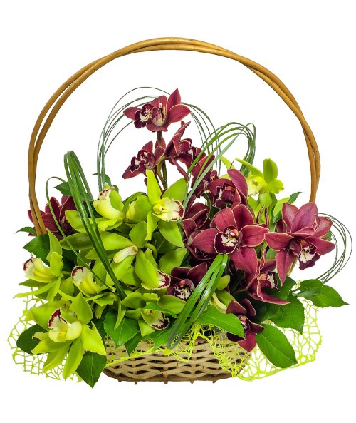 basket-orchids-delivery-brno
