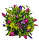 jarni-tulipany-frezie