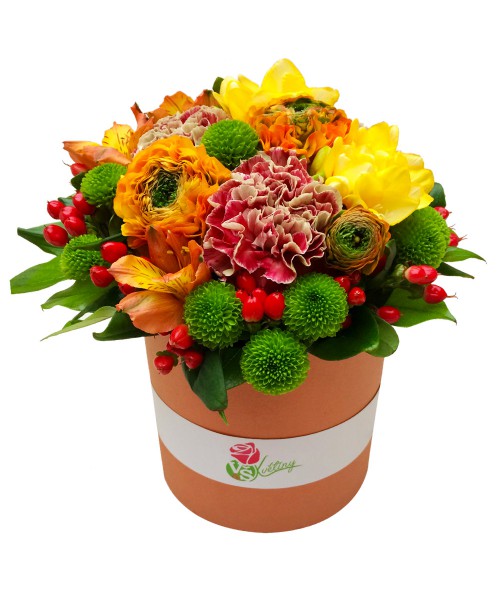 colourful-flower-box