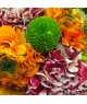 colourful-flower-box