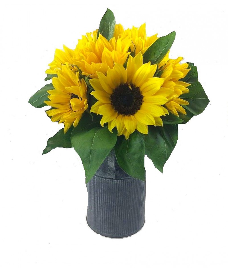 bouquet-sunflowers-delivery-brno