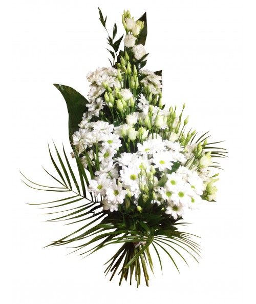 Funeral white daisies