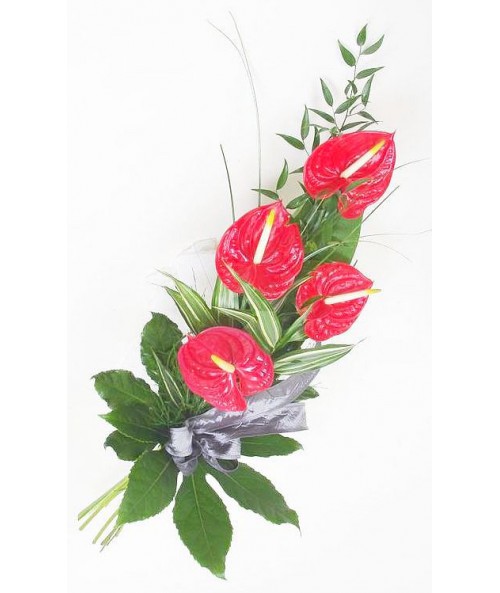 Funeral red anthuriums