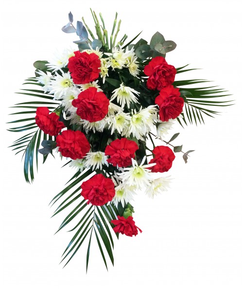 Red carnations and white daisies